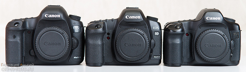 Canon  5D markIII, Canon  5D markII,Canon  5D