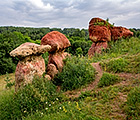 Курортный парк Кисловодска. Красные грибы.
