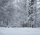 Снегопад в Закопане